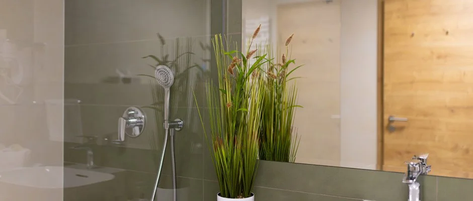 Ndas T Park Hotel Vasad