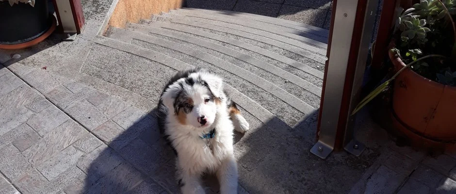 Napsugr Kenzy Lux Apartman Vendghzak Hajdszoboszl