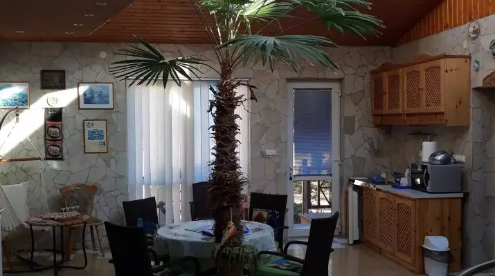Napsugr Kenzy Lux Apartman Vendghzak Hajdszoboszl