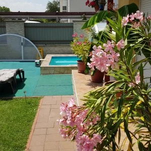 Napsugár Resort Siófok - Pünkösd (min. 2 éj)