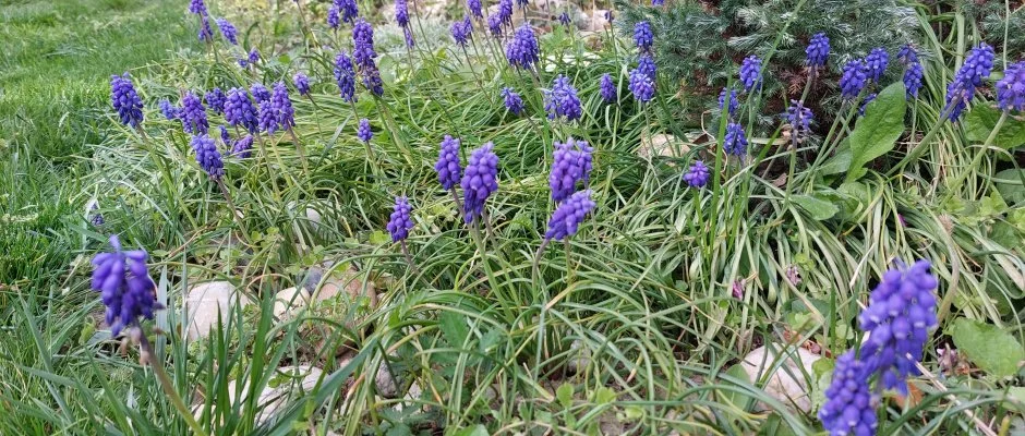 Ngy vszak Apartmanhz Zalakaros