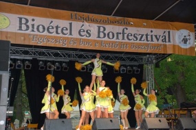 Bio étel és Borfesztivál. Bio étel és Borfesztivál.