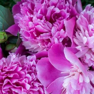 Nyerges Hotel Termál Monor - Pünkösd 