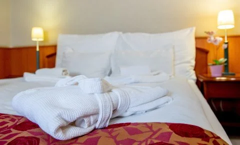 Nyerges Hotel Termál Monor - Napi ár reggelivel