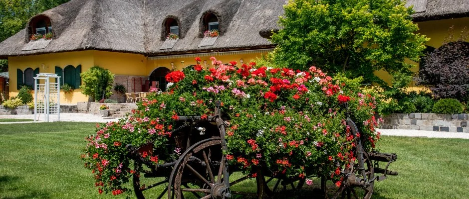 Nyerges Hotel Termál Monor
