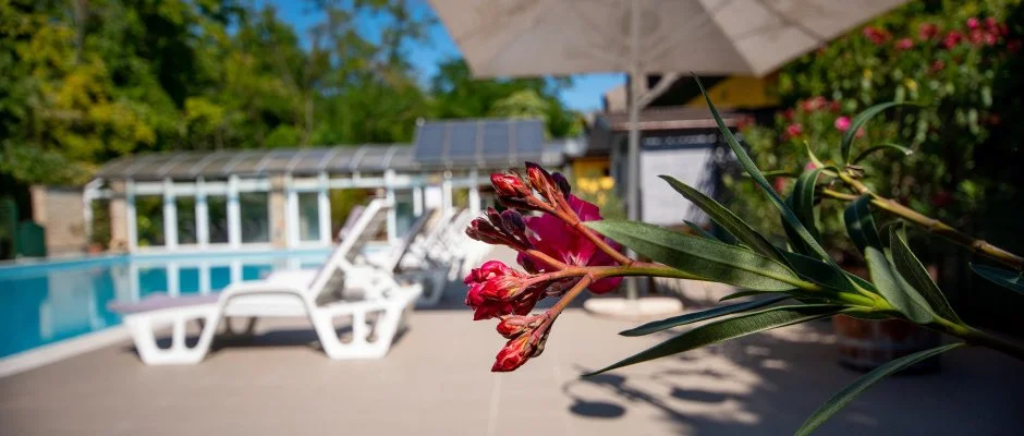 Nyerges Hotel Termál Monor