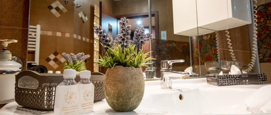 Nyerges Hotel Termál Monor