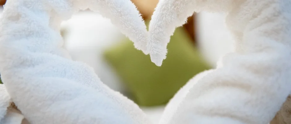 Nyerges Hotel Termál Monor