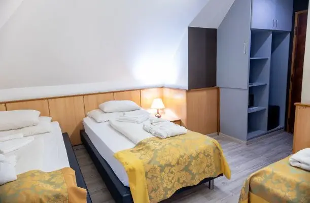 Nyerges Hotel Termál Monor