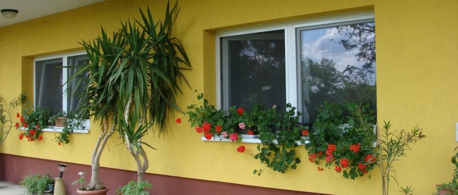 Nyugi Tanya Magyartés