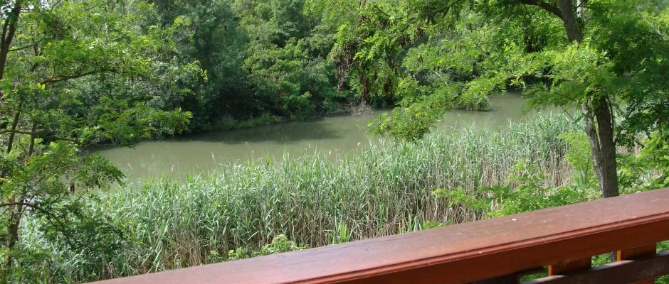 Nyugi Tanya Magyartés