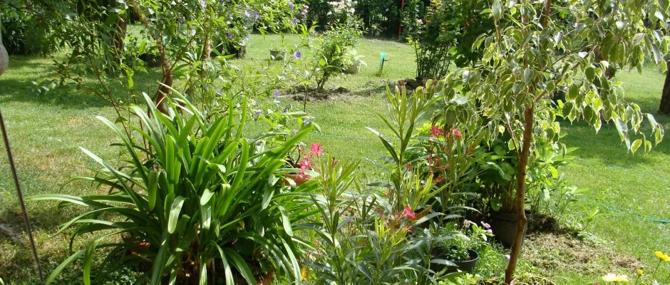 Nyugi Tanya Magyartés