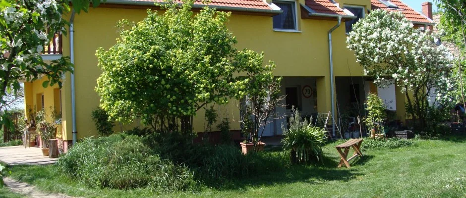 Nyugi Tanya Magyartés