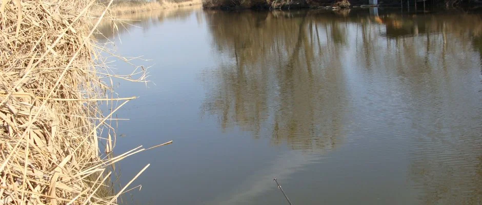 Nyugi Tanya Magyartés