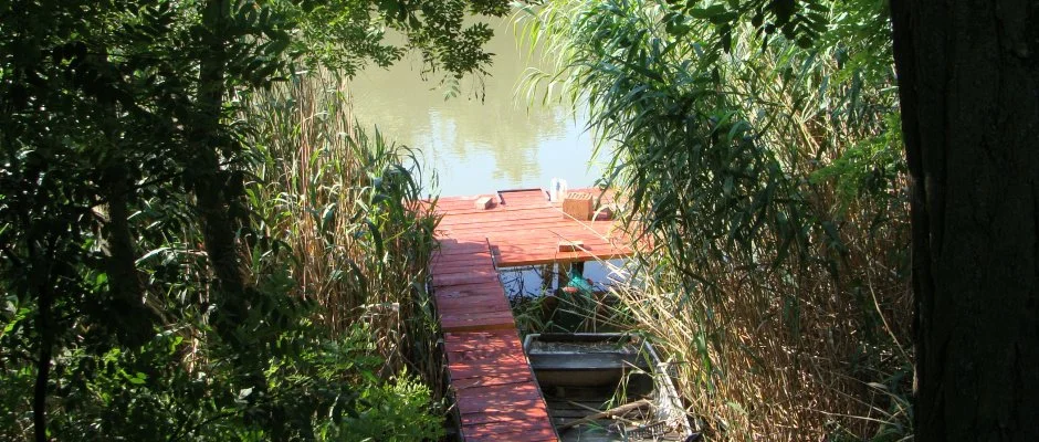 Nyugi Tanya Magyartés