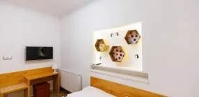 O�zis Apartmanok M�rahalom - Napi �rak