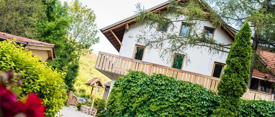 ko-Park Panzi Szarvask