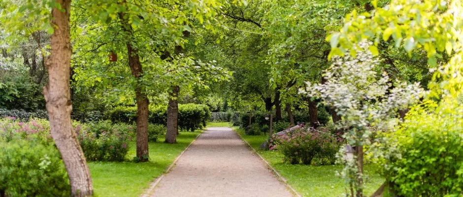 ko-Park Panzi Szarvask