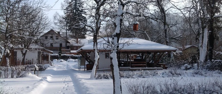 ko-Park Panzi Szarvask