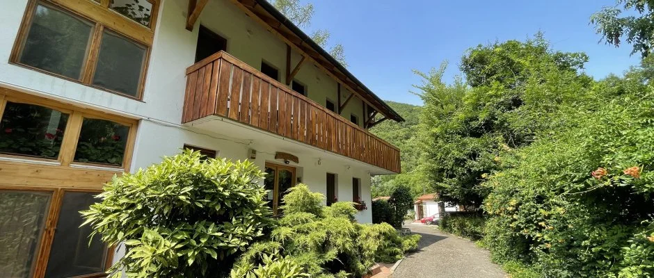 ko-Park Panzi Szarvask