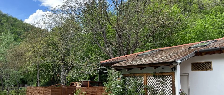 ko-Park Panzi Szarvask