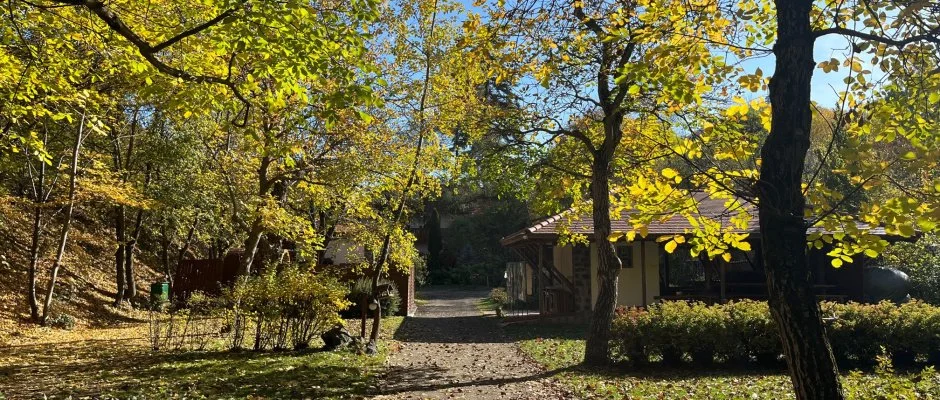 ko-Park Panzi Szarvask