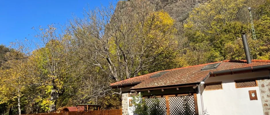 ko-Park Panzi Szarvask