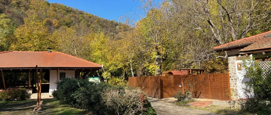 ko-Park Panzi Szarvask