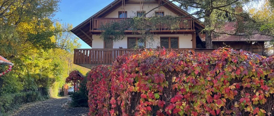 ko-Park Panzi Szarvask