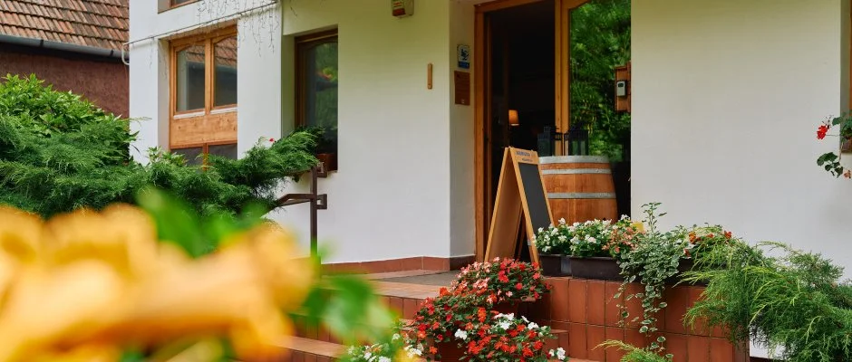 ko-Park Panzi Szarvask