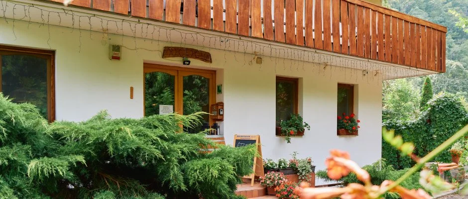 ko-Park Panzi Szarvask