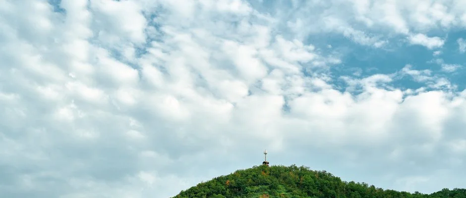 ko-Park Panzi Szarvask