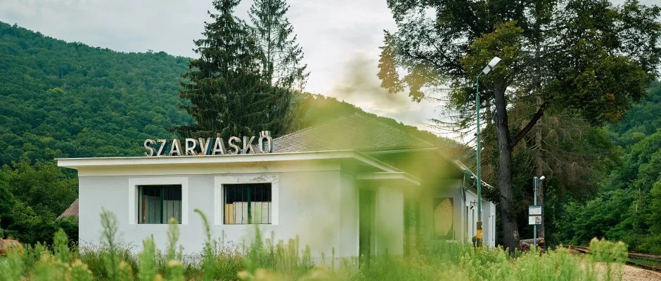 ko-Park Panzi Szarvask