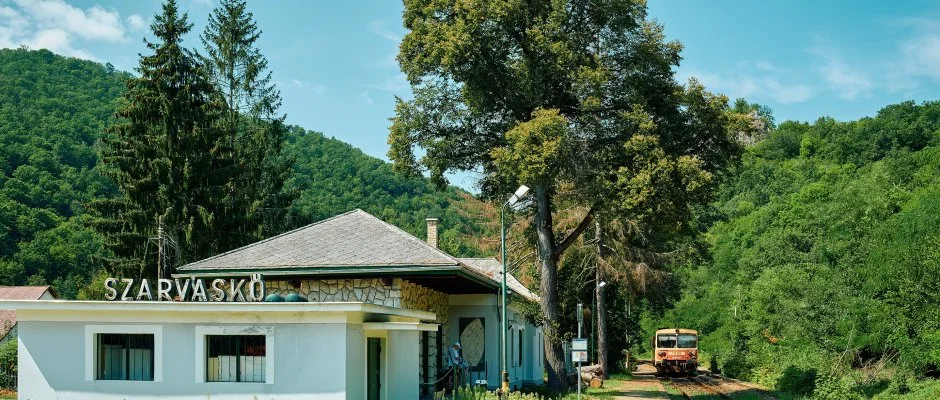 ko-Park Panzi Szarvask