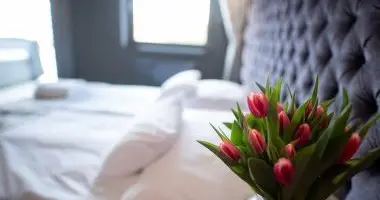 Flpanzis ajnlat frdbelpvel (1 jtl)