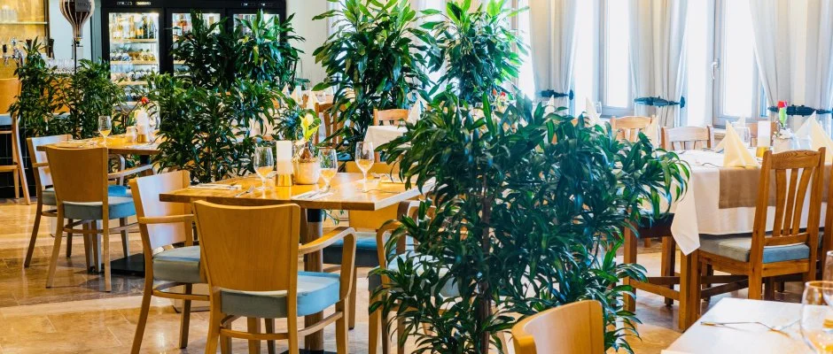 reg Halsz tterem s Fogad Tt