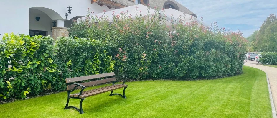 reg Halsz tterem s Fogad Tt