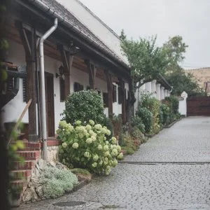 Öreg Prés Butikhotel Mór - Karácsony