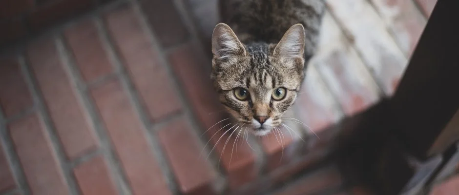 reg Prs Butikhotel Mr