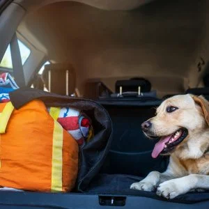  Tata - Napi árak félpanziós ellátással (1 éjtől)