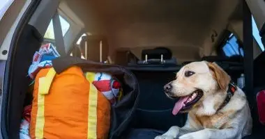 Napi rak flpanzis elltssal (1 jtl)