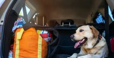 Napi árak félpanziós ellátással (1 éjtől)