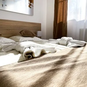  Tata - Két ünnep között