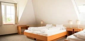 P4W Hotel Residence Szombathely - Szilveszter