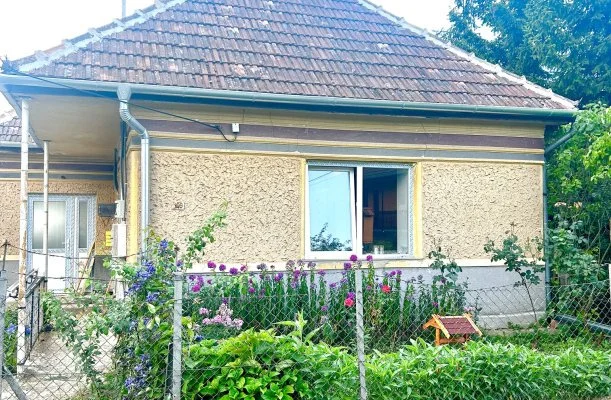 Pajkos Póni Élménybirtok Vilyvitány Pajkos Póni Élménybirtok Vilyvitány