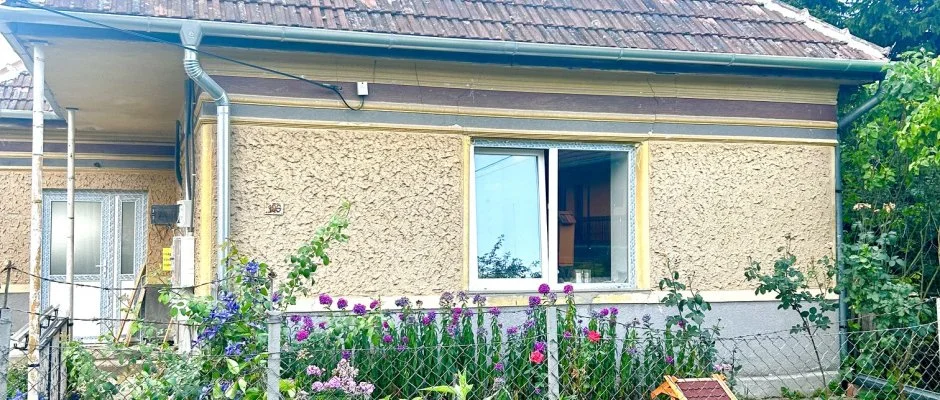Pajkos P�ni �lm�nybirtok Vilyvit�ny