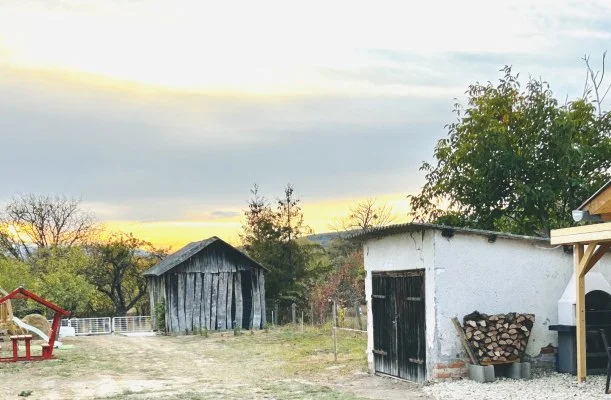 Pajkos Póni Élménybirtok Vilyvitány Pajkos Póni Élménybirtok Vilyvitány