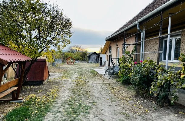 Pajkos Póni Élménybirtok Vilyvitány Pajkos Póni Élménybirtok Vilyvitány
