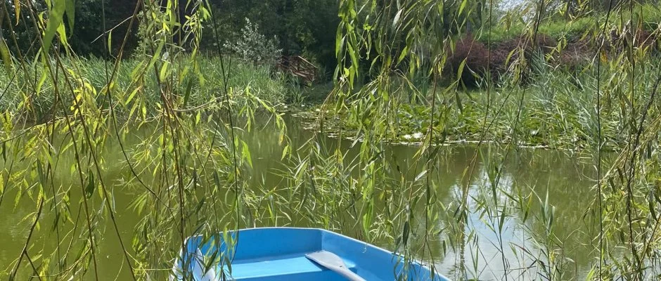 Palcliget Vendghz Ktbodony