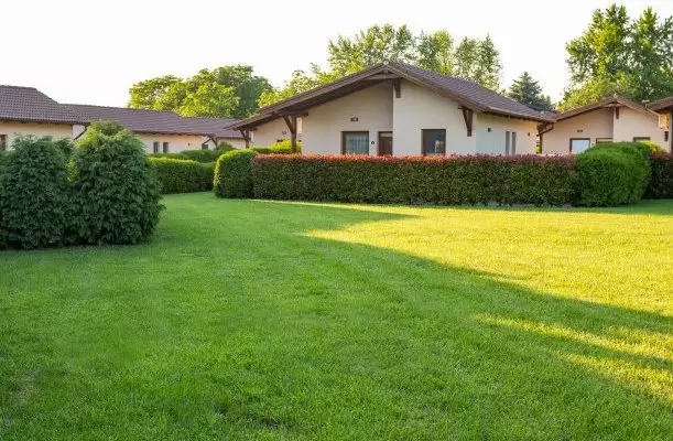 Pandora Zsóry Apartmanok Mezőkövesd Pandora Zsóry Apartmanok Mezőkövesd